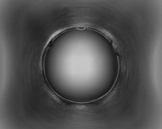 X0000085051230200703051038