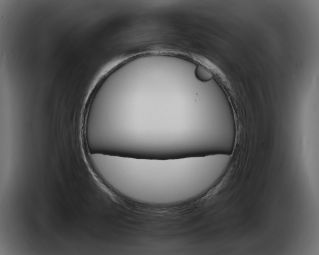 X0000085051231200703051038