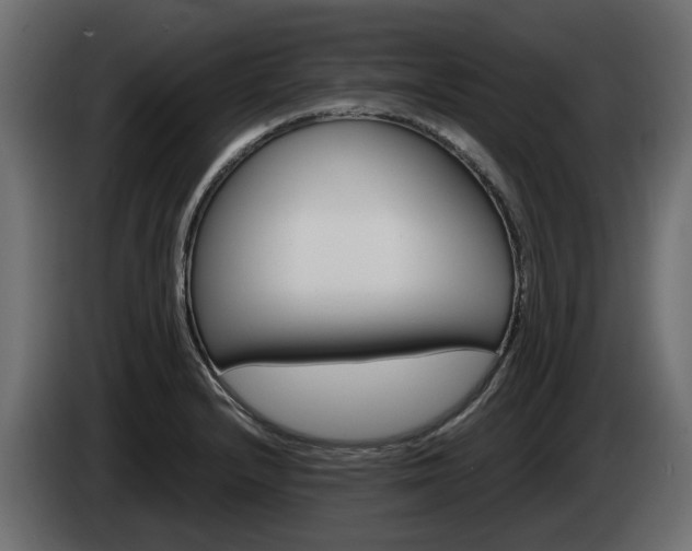 X0000085051232200703051038