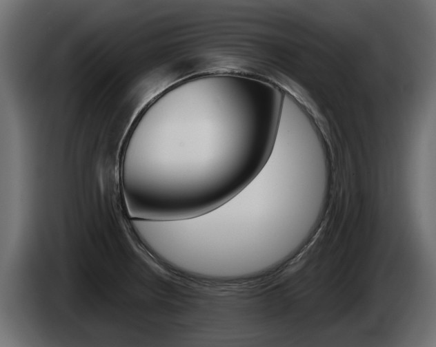 X0000085051234200703051038