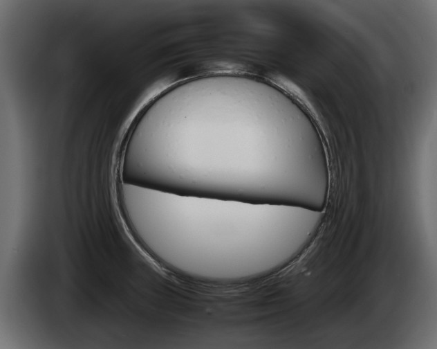 X0000085051235200703051038