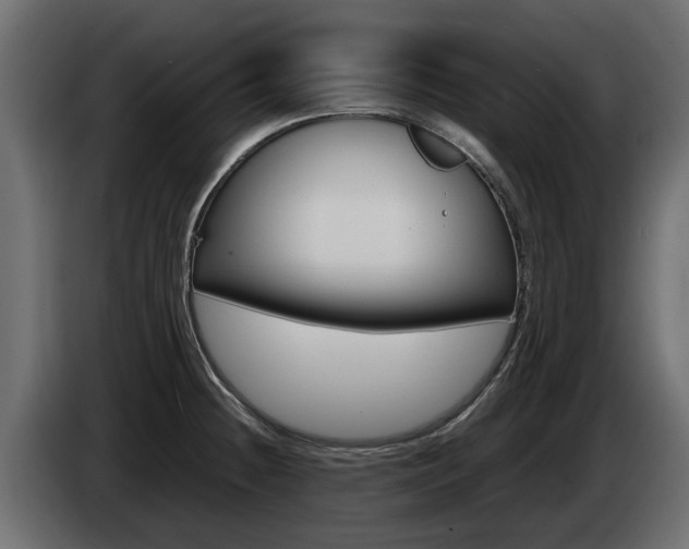 X0000085051236200703051038