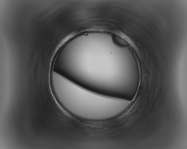 X0000085051237200703051038