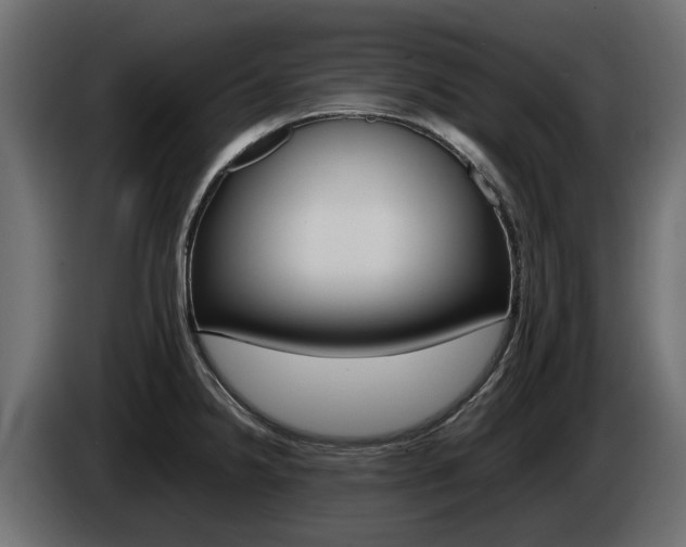 X0000085051238200703051038