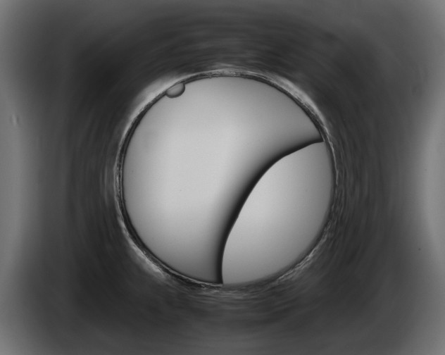 X0000085051239200703051038
