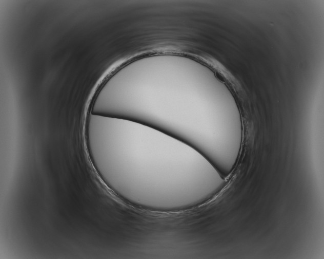 X0000085051240200703051038