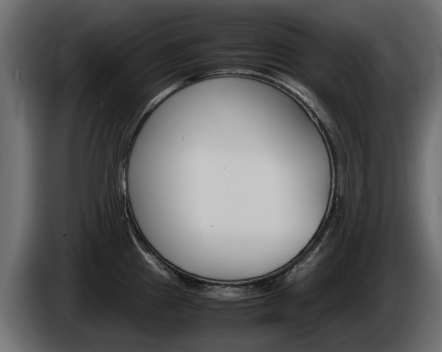X0000085051241200703051038