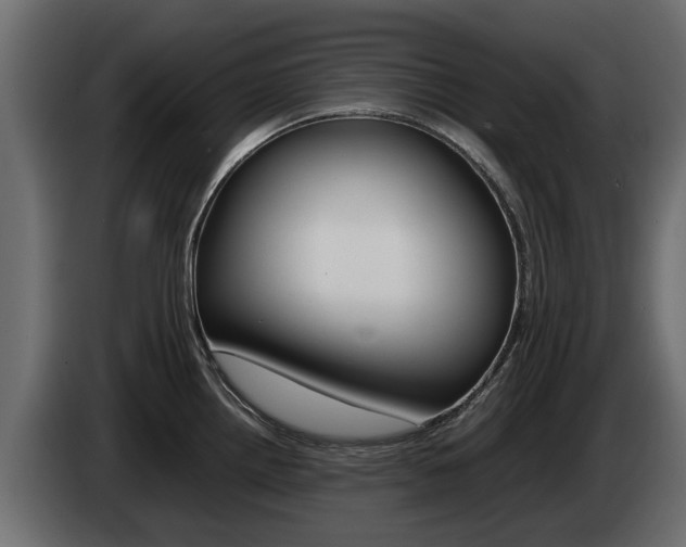 X0000085051242200703051038