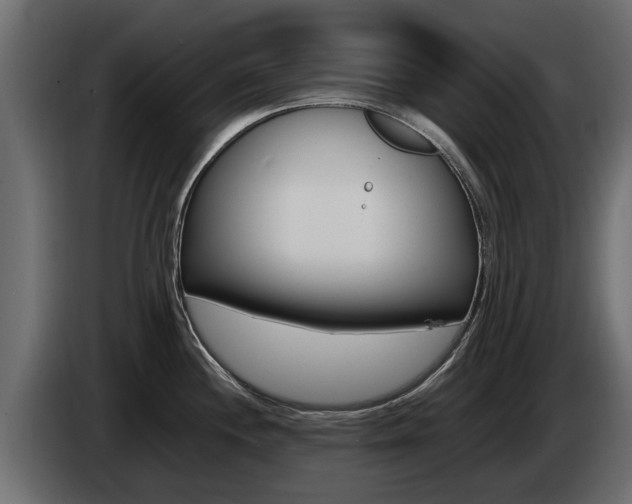 X0000085051244200703051038