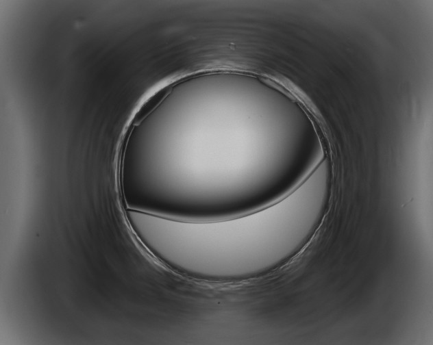 X0000085051246200703051039