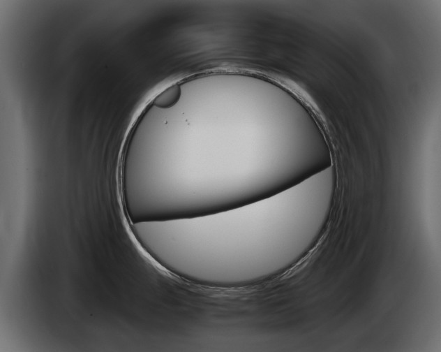 X0000085051247200703051039