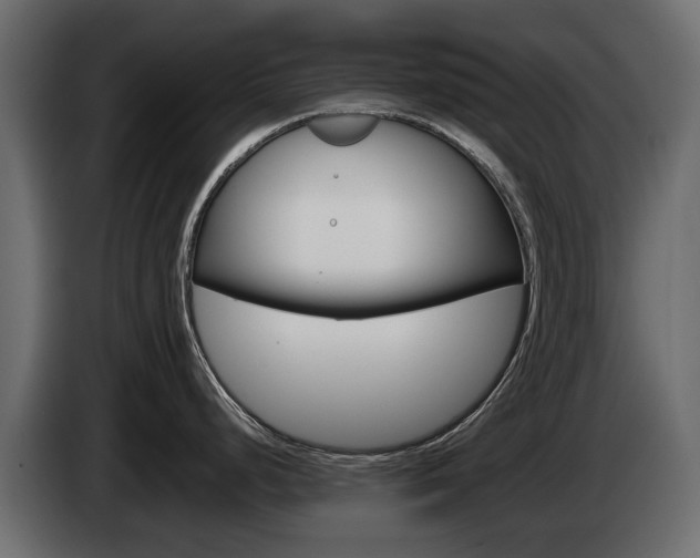 X0000085051248200703051039