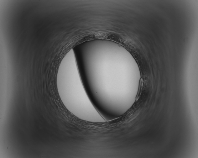 X0000085051249200703051038