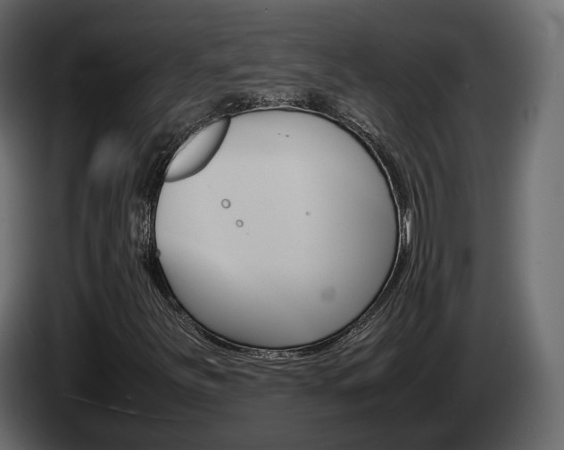 X0000085051251200703051038