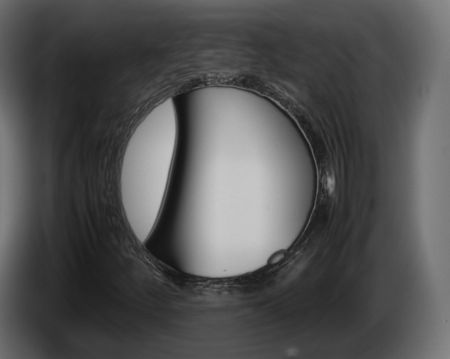 X0000085051252200703051038