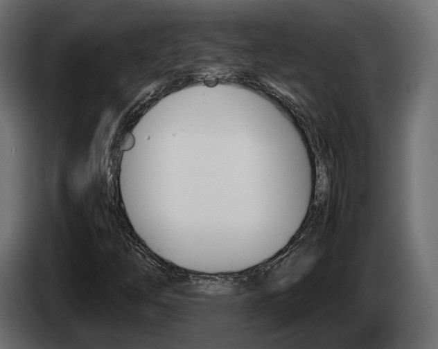 X0000085051254200703051038