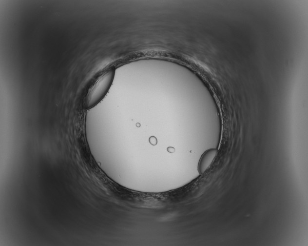 X0000085051255200703051038