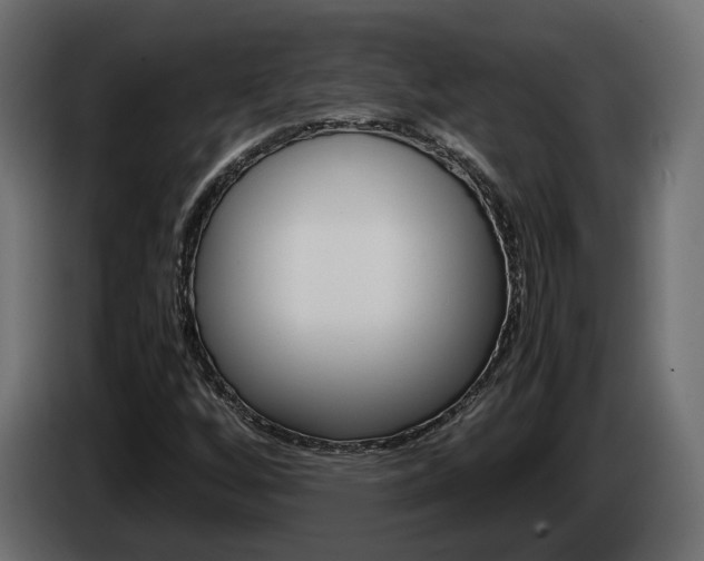 X0000085051256200703051038