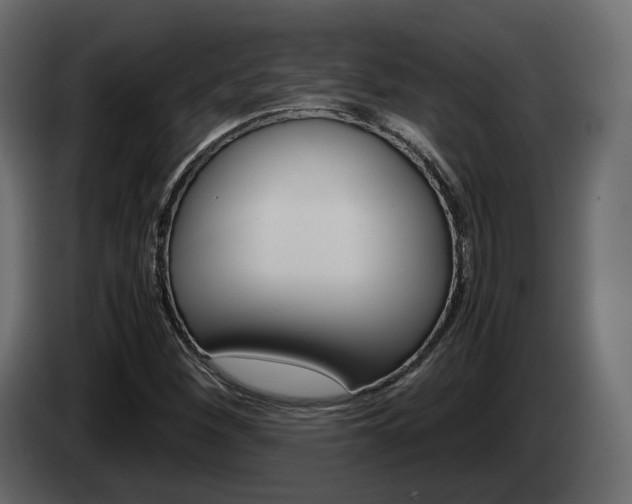 X0000085051260200703051038