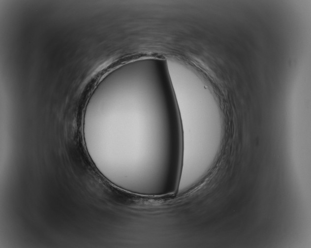 X0000085051261200703051038