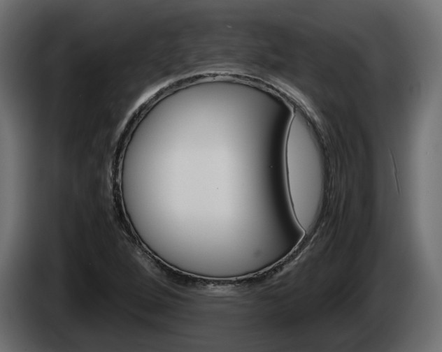 X0000085051264200703051038