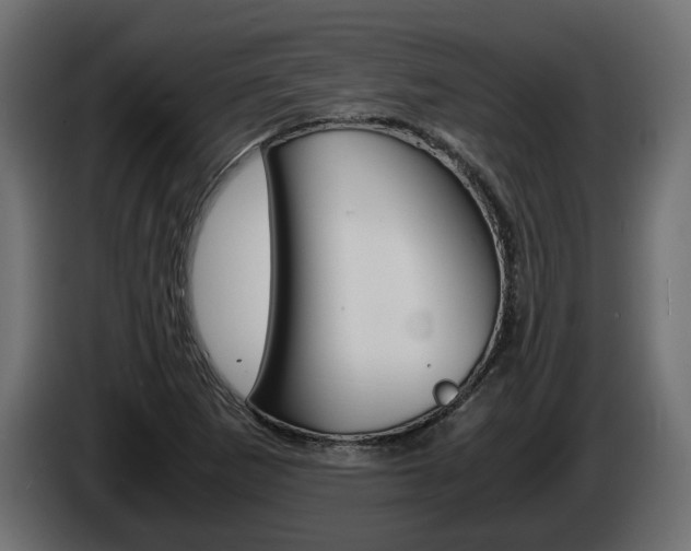 X0000085051265200703051038