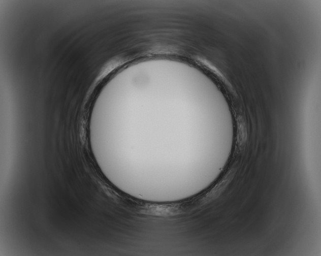 X0000085051266200703051038