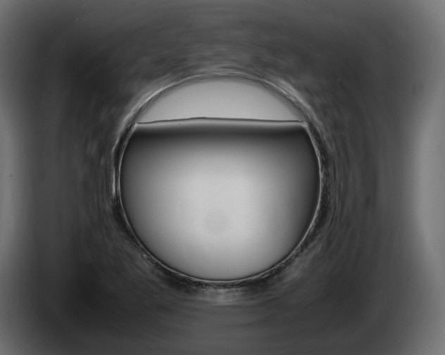 X0000085051269200703051038
