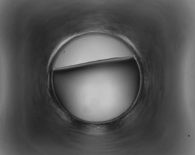 X0000085051270200703051038