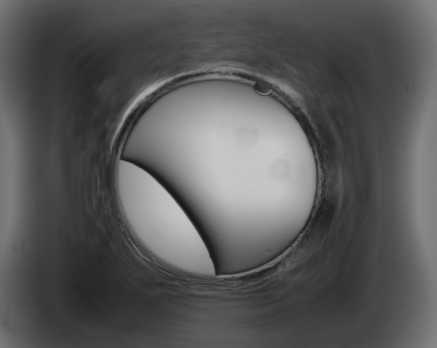 X0000085051271200703051038