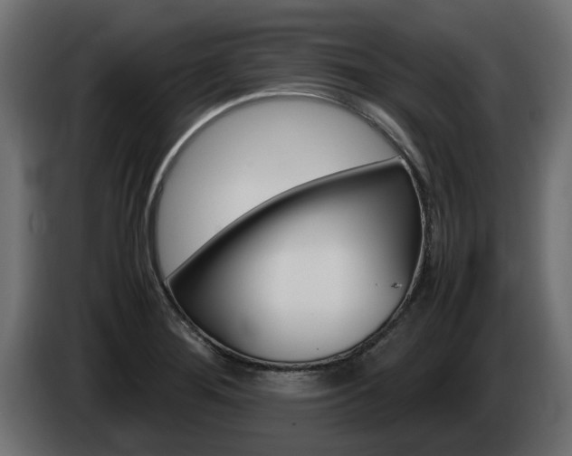 X0000085051276200703051038