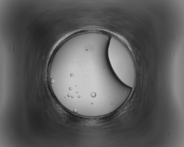 X0000085051279200703051038