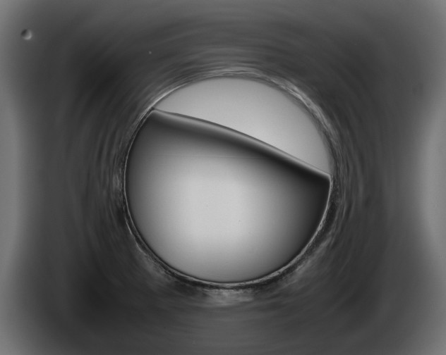 X0000085051281200703051038