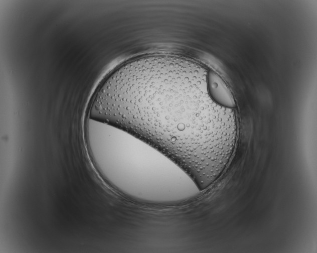 X0000085051283200703051038