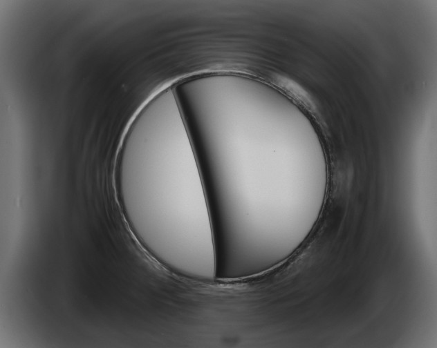 X0000085051284200703051038