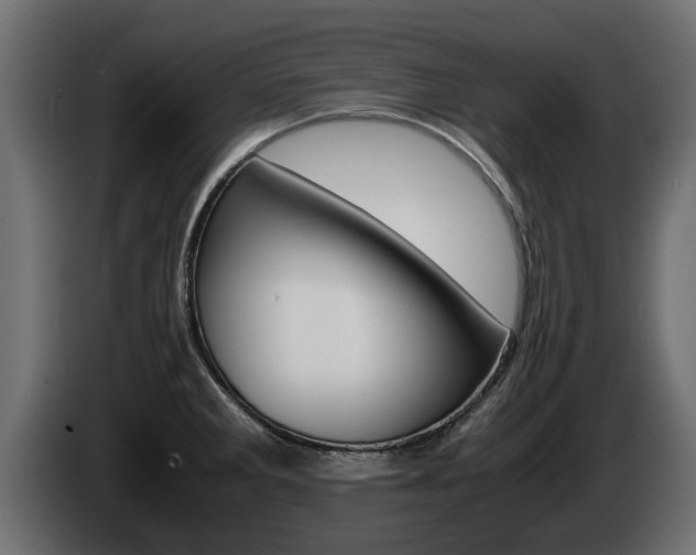 X0000085051285200703051038