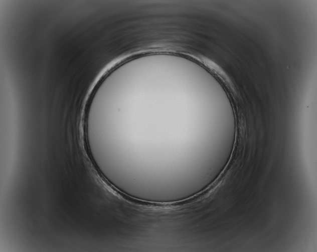 X0000085051288200703051037