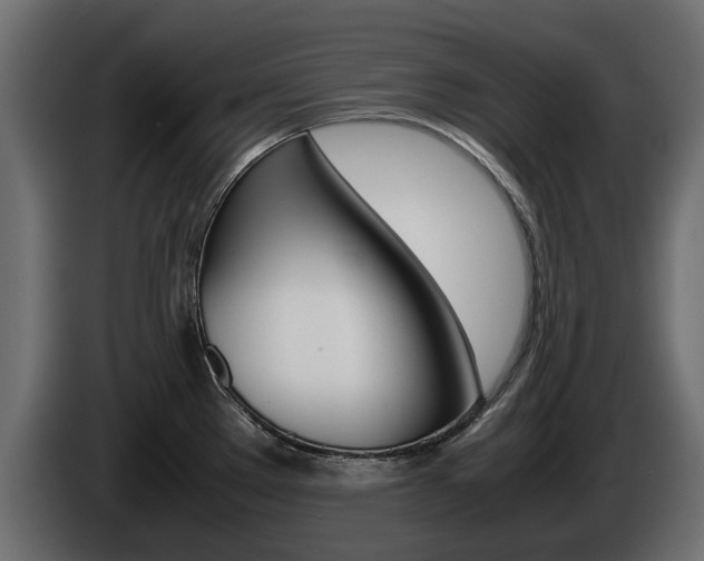 X0000085051289200703051037
