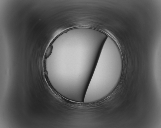 X0000085051291200703051037