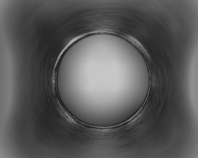 X0000085051292200703051037