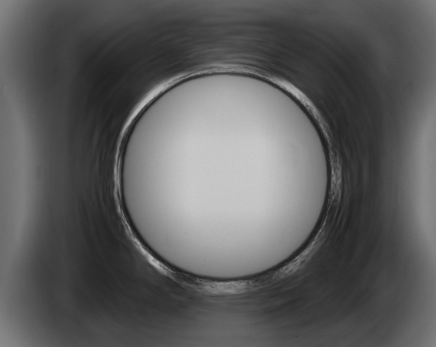 X0000085051294200703051037
