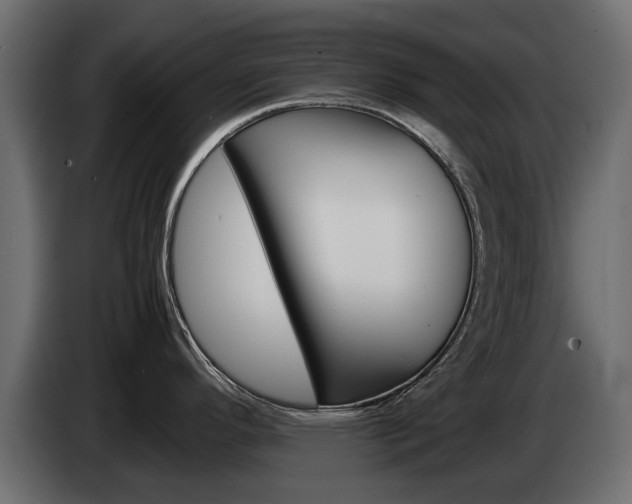 X0000085051296200703051037