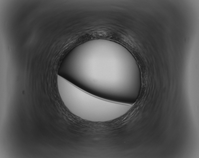 X0000085051297200703051037