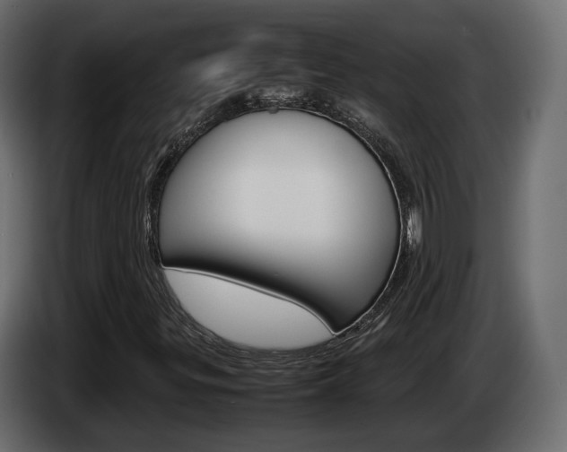X0000085051299200703051037