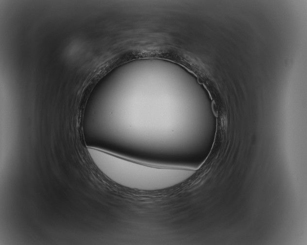 X0000085051300200703051037