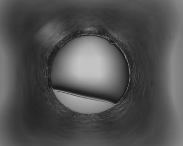 X0000085051301200703051037