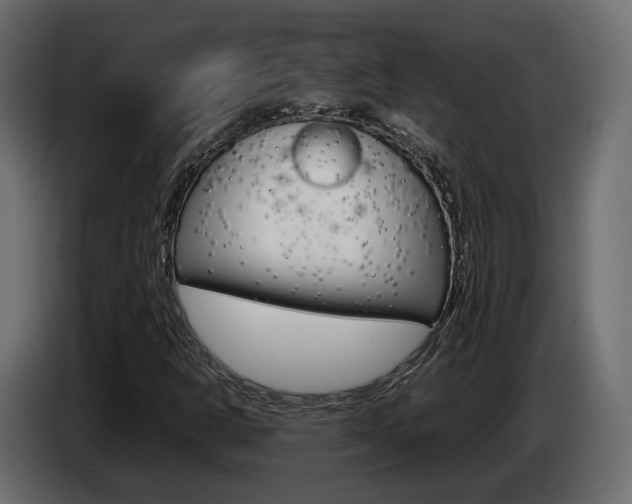 X0000085051302200703051037