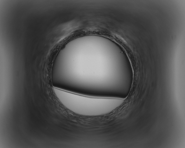 X0000085051303200703051037