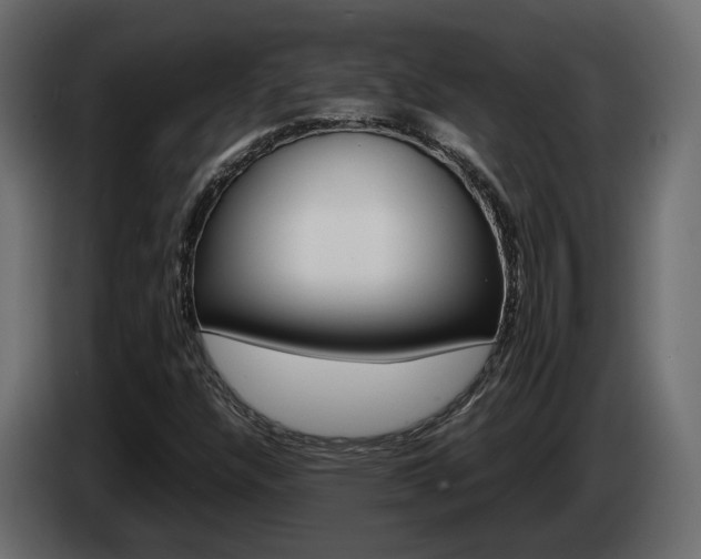 X0000085051304200703051037