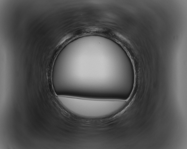 X0000085051305200703051037